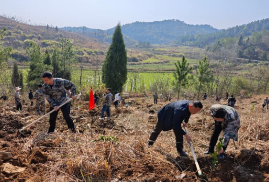 陶岭镇：植绿正当时 党旗添新彩