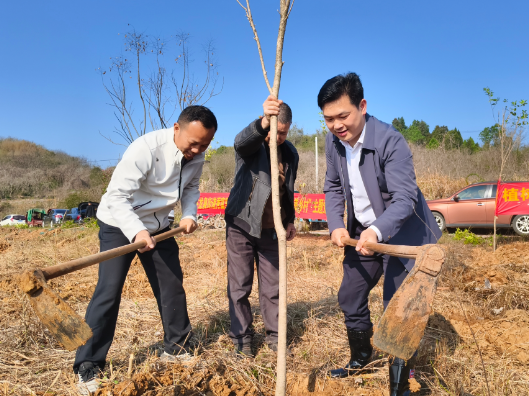 县委办到秀富里村开展义务植树活动 助力乡村生态振兴