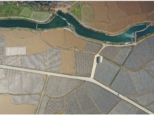 石羊镇：银膜覆阡陌 春耕绘“丰”景