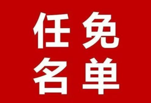 新田县人民代表大会常务委员会决定任免名单
