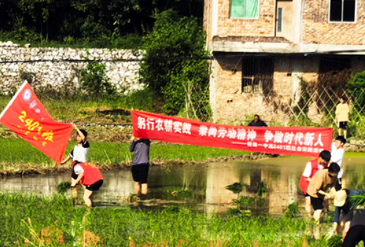 新田一中开展插秧社会实践活动 家校携手悟农耕践初心