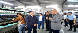 何寄华在新田调研：推动“四好农村路”与特色产业融合发展，为农业强省建设提供坚实支撑