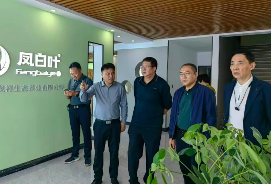 江苏南通商务考察团来新田考察