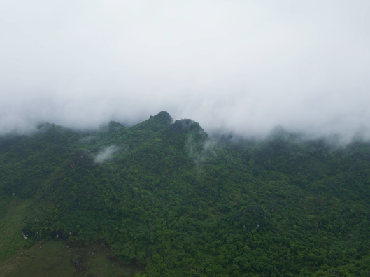南国武当披云纱 三井美景入画来