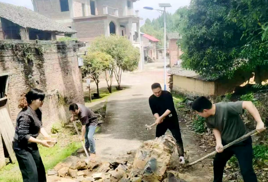 新圩镇道塘村：闻“险”而动速清障 畅通村路暖民心