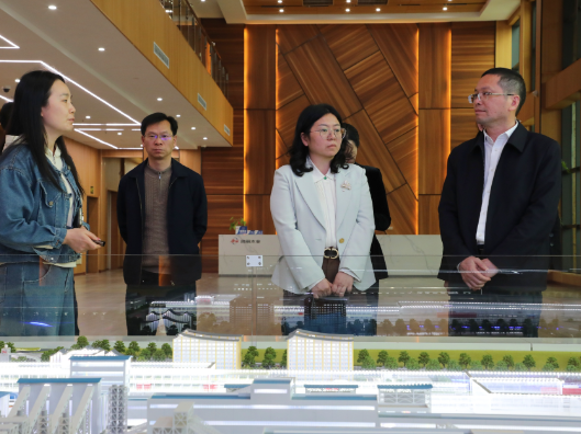 省工作组来新督导调研“企业服务年”行动工作