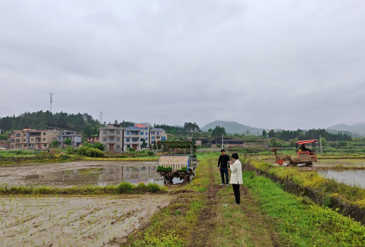 大坪塘镇村联动绘就春耕新图景