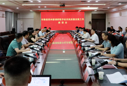 市数据局来新调研数字经济高质量发展工作