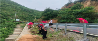 门楼下村∶ 党建红赋能乡村治理 志愿红扮靓和美乡村