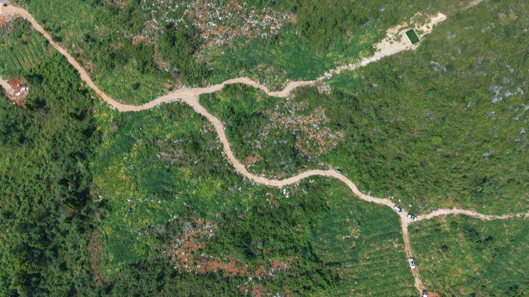 DJI_20260714094341_0393_D.JPG