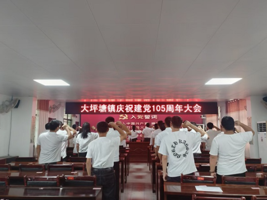 大坪塘镇召开庆祝建党105周年暨“七一”党员大会