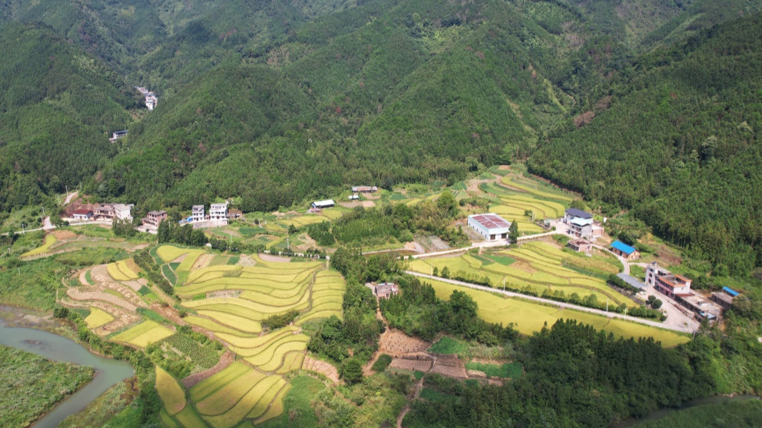 DJI_0679.JPG