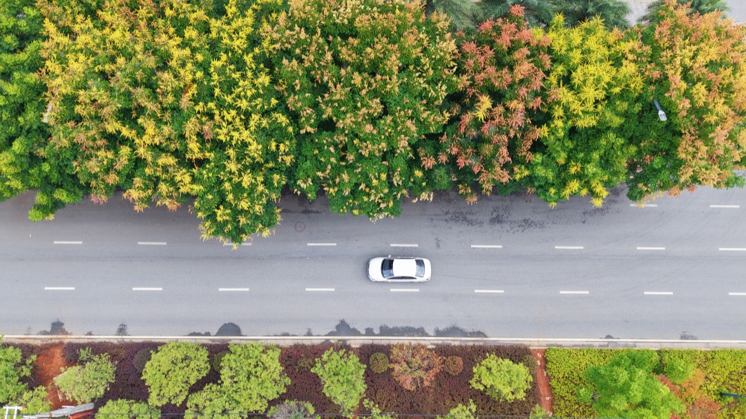DJI_20260825094853_0701_D.JPG