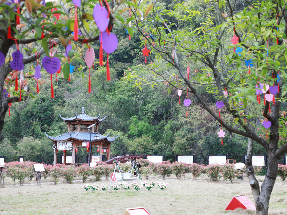 三井镇谈文溪村：人居环境“细梳妆” 百年古村“焕新颜”