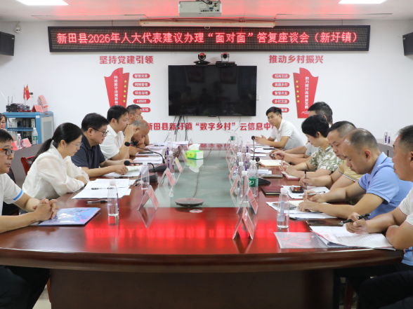 县领导深入新圩镇视察人大代表建议办理工作