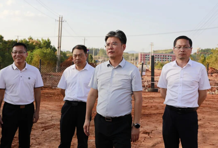 陈雄调研城区道路建设工作