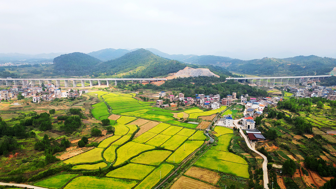 DJI_0547.jpg