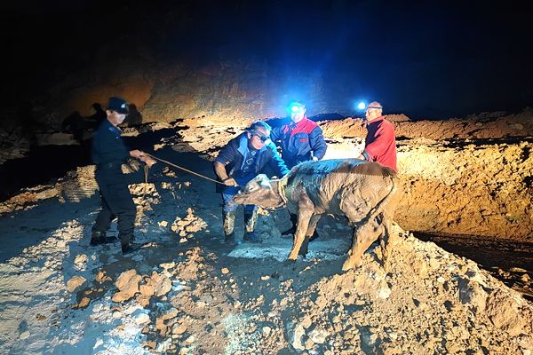 9cd65701706e42d4ba276302ff3921a7.jpg 9cd65701706e42d4ba276302ff3921a7.jpg