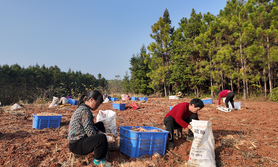 DJI_20251210153157_0291_D.jpg DJI_20251210153157_0291_D.jpg