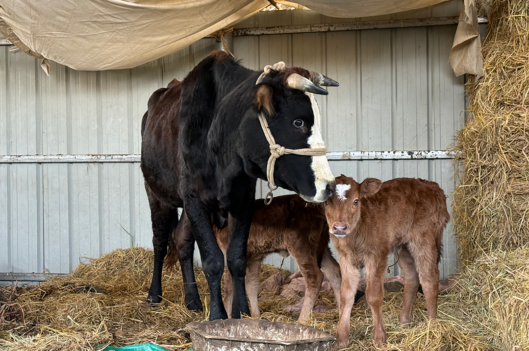 微信图片_20251217153551_265_1.jpg 微信图片_20251217153551_265_1.jpg