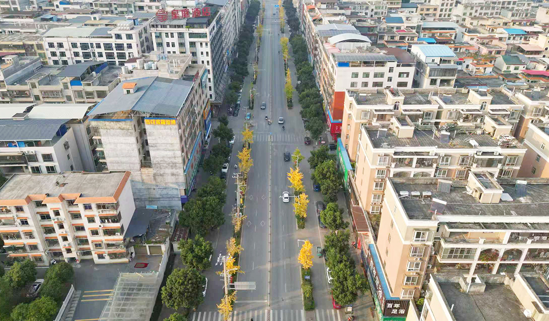 mmexport1764809965795.jpg mmexport1764809965795.jpg