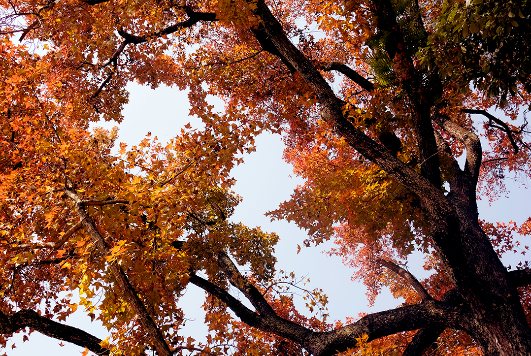 BB869F4E0C0E96502D0D1DB0CA624E15.jpg BB869F4E0C0E96502D0D1DB0CA624E15.jpg