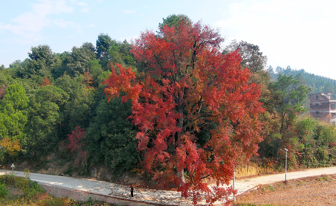 8344A64A901147D89FD7B7262059CB31.jpg 8344A64A901147D89FD7B7262059CB31.jpg