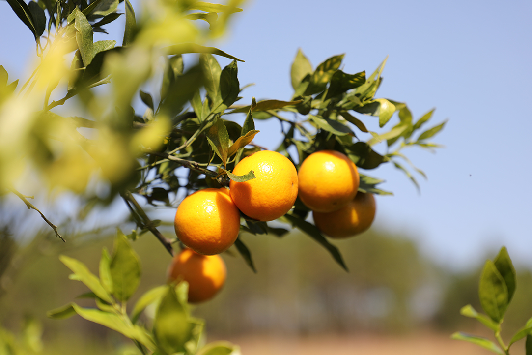 116A2311.jpg 116A2311.jpg