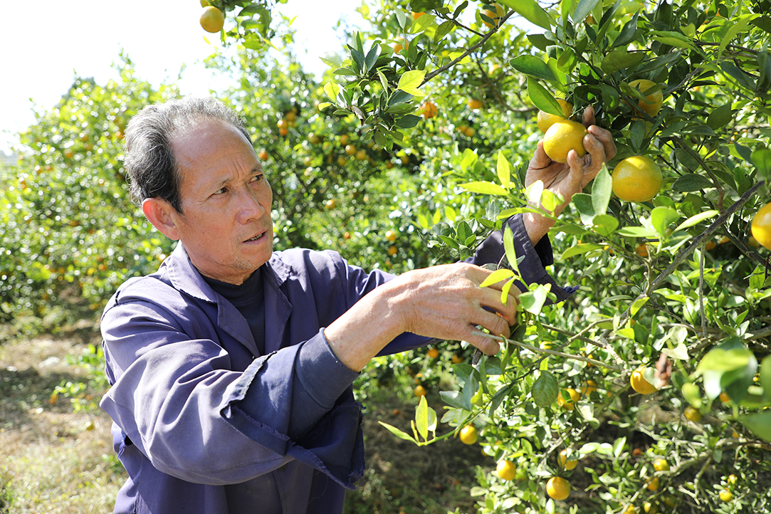 116A2273.jpg 116A2273.jpg