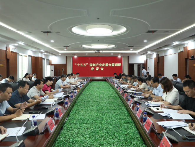 陈雄在调研“十五五”规划产业发展专题工作时强调：科学谋划 精准发力 奋力谱写新田产业高质量发展新篇章