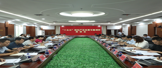 陈雄在调研“十五五”规划产业发展专题工作时强调：科学谋划 精准发力 奋力谱写新田产业高质量发展新篇章