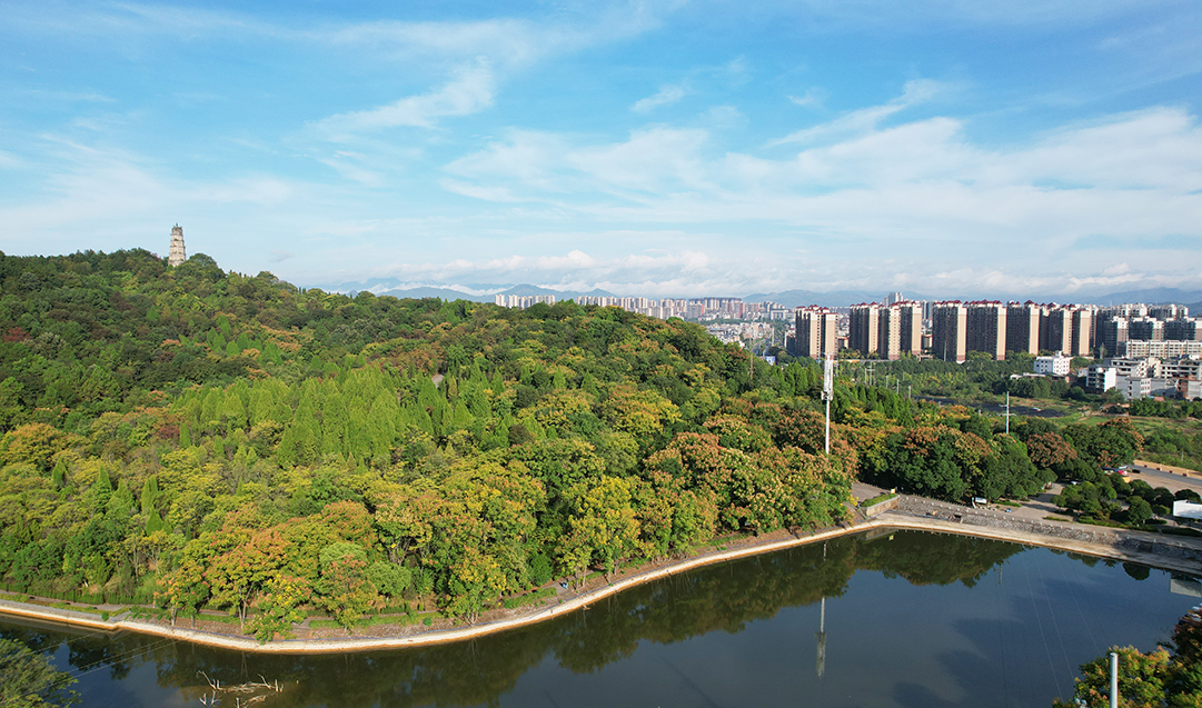 DJI_0284.jpg