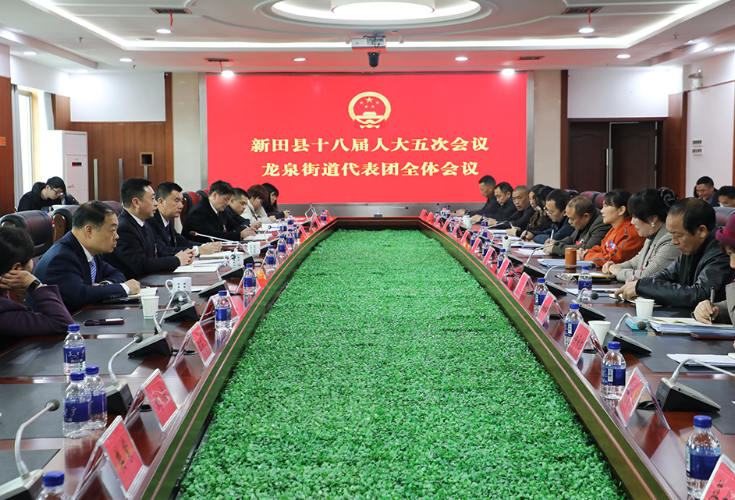 （闯新路 开新局）黄永英参加中山街道、骥村镇、龙泉街道和门楼下瑶族乡人大代表团讨论