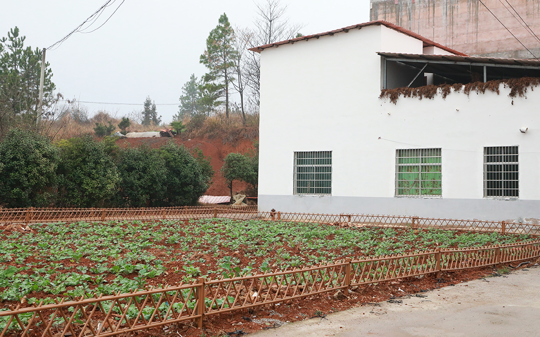 045A5221.jpg 045A5221.jpg