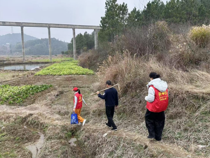 中山街道：田间地头拉网式排查 严守禁种底线