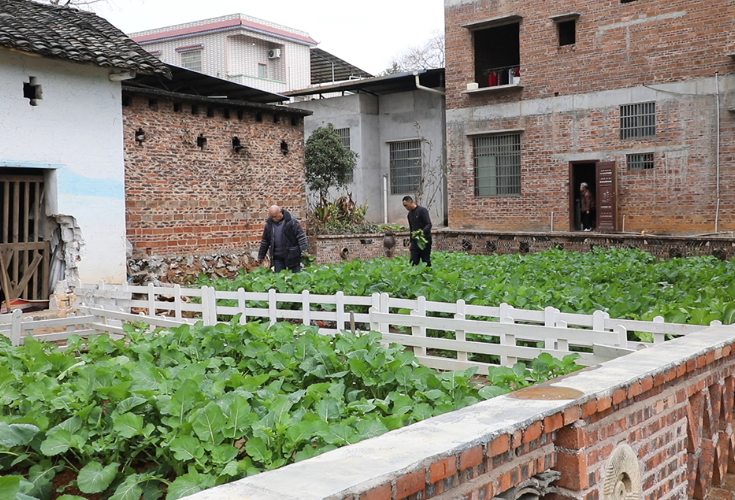 （新春走基层）金盆镇徐家村：环境焕新提质 乡风和美向善