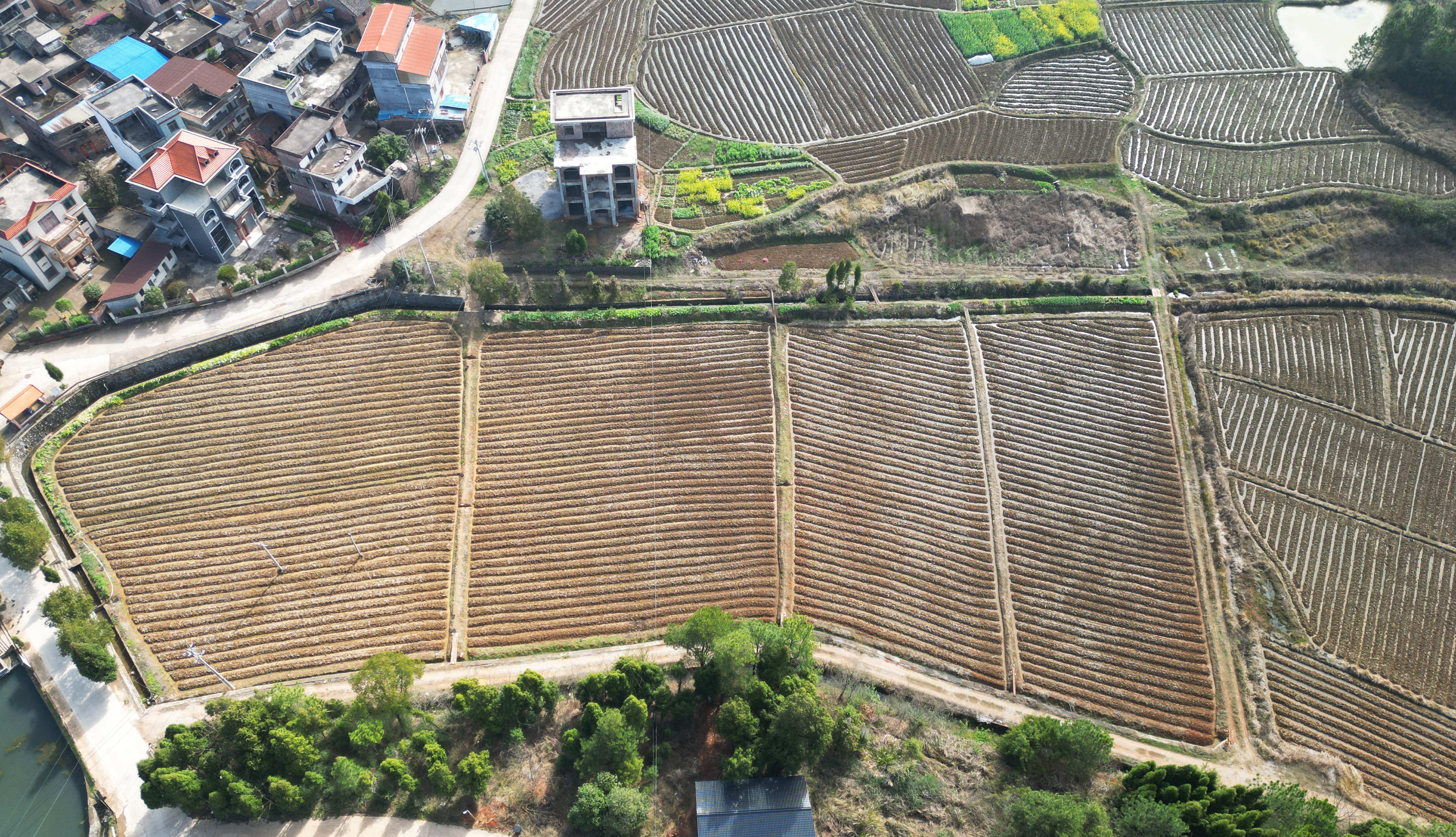 DJI_0186.jpg DJI_0186.jpg