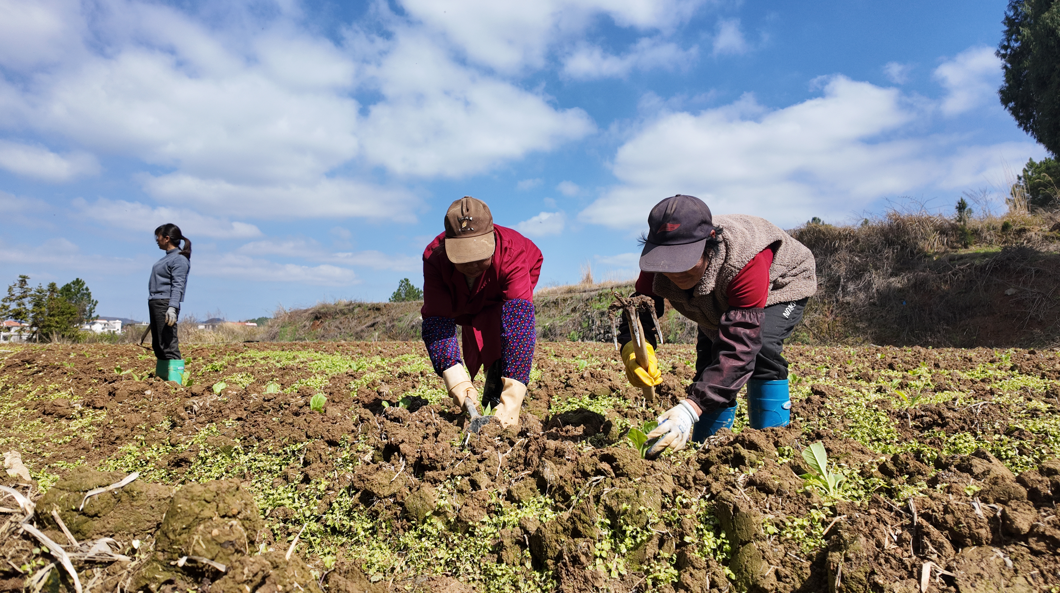 DJI_20260311104017_0076_D.jpg DJI_20260311104017_0076_D.jpg