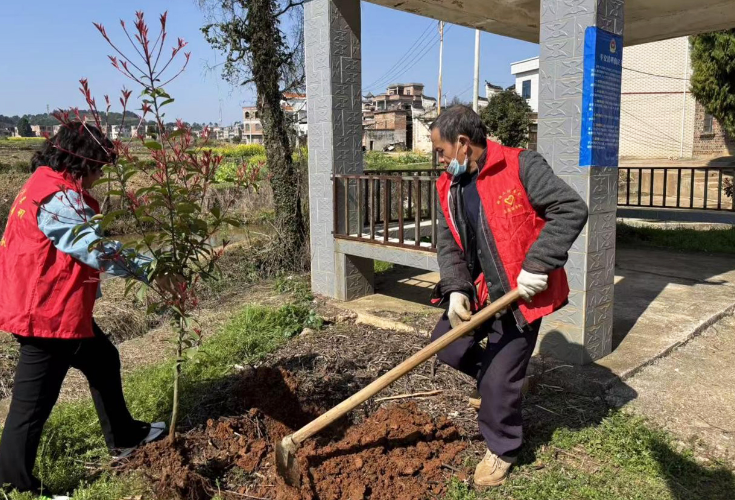 新田：党建引领洁美村庄 植绿增绿扮靓乡村