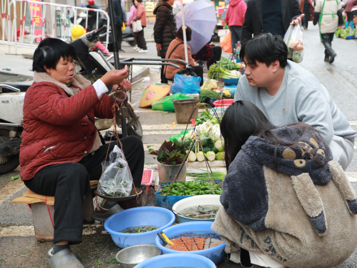 新田：春菜抢“鲜”上市 丰富市民餐桌