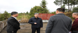 陈雄调研早稻育秧和烤烟生产工作