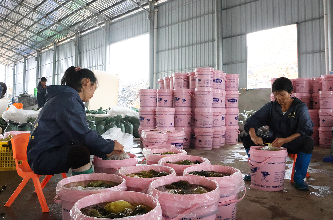 2D6A5592.jpg 2D6A5592.jpg