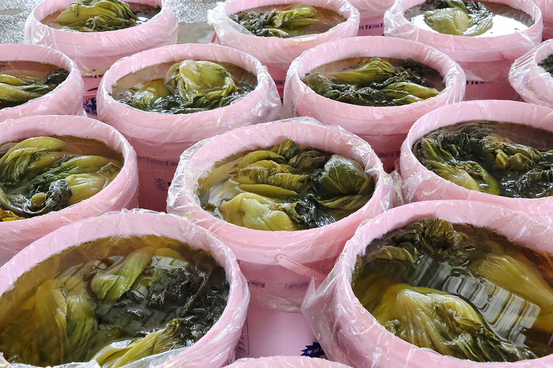 2D6A5567.jpg 2D6A5567.jpg