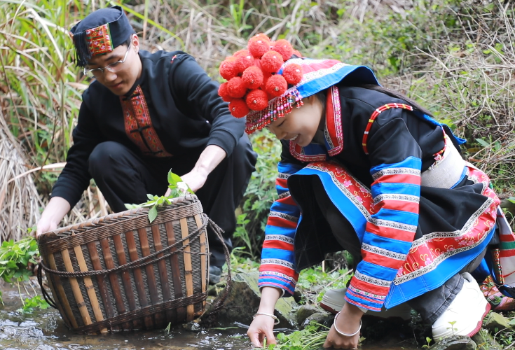 瑶乡春日寻鲜山间尽是“春滋味”