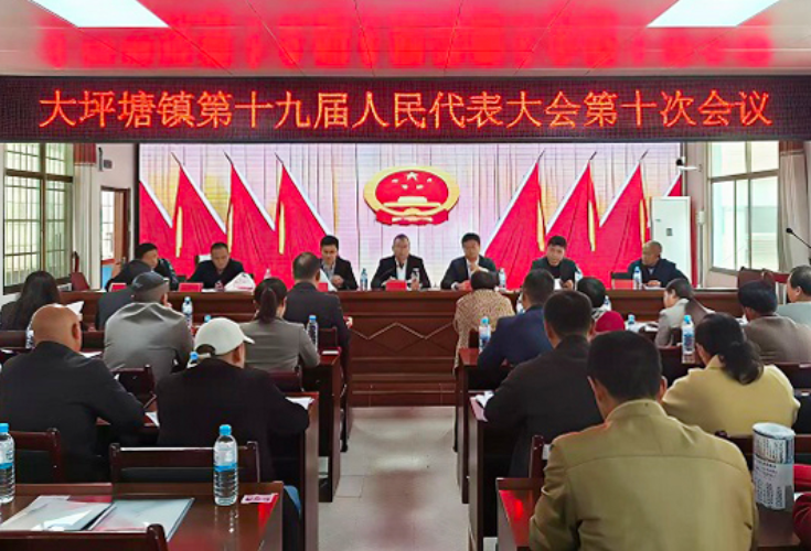 大坪塘镇第十九届人民代表大会十次会议召开：票决两项民生实事 擘画发展新蓝图