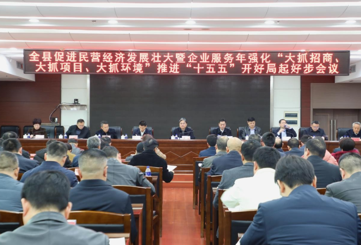 全县促进民营经济发展壮大暨企业服务年强化推进会议召开