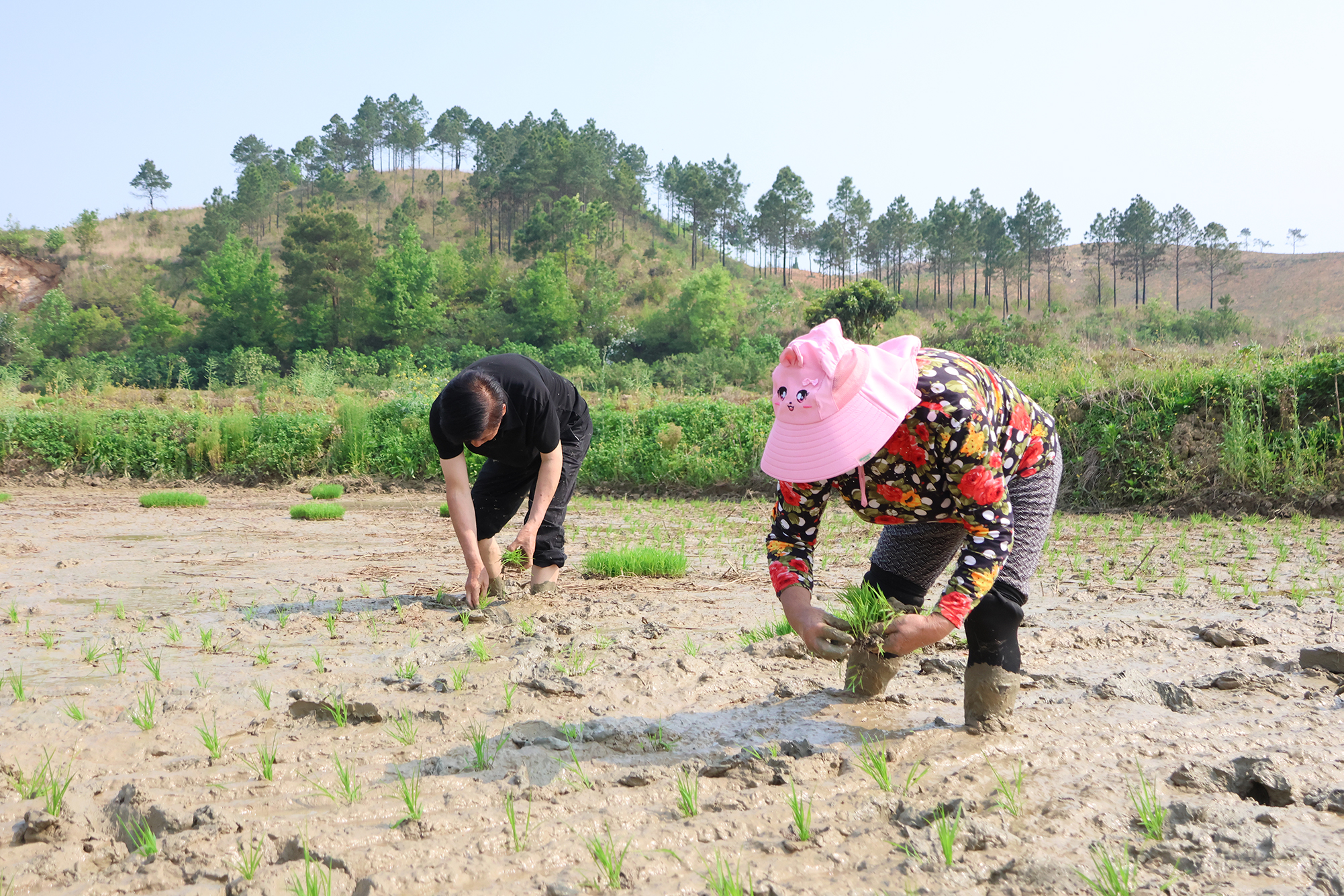 2D6A0048.jpg 2D6A0048.jpg