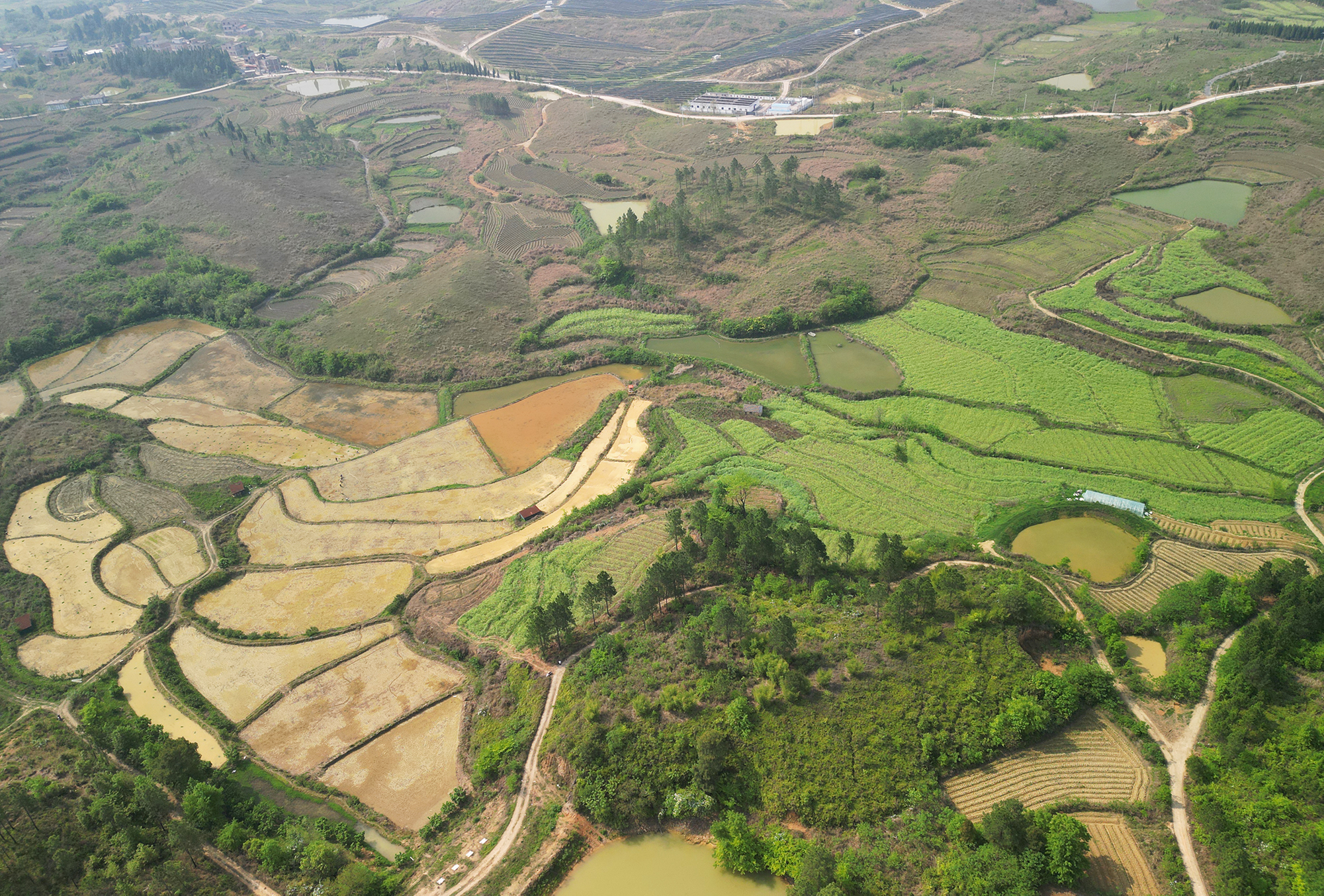 DJI_0317.jpg DJI_0317.jpg