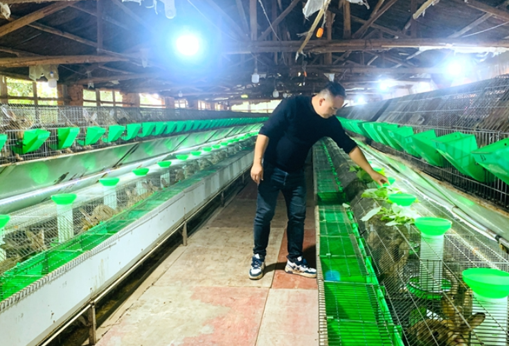 新田新隆镇：返乡青年养兔闯出乡村振兴新路子