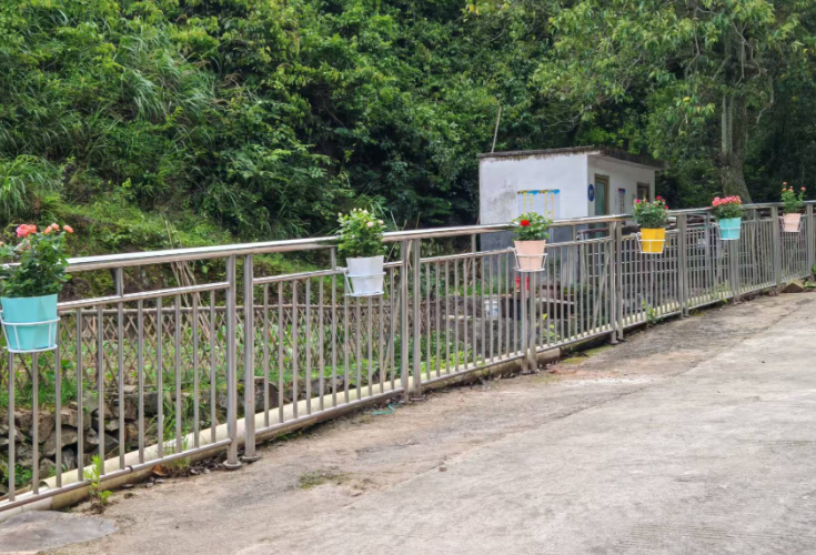 三塘源村：繁花缀乡路 美景润村居